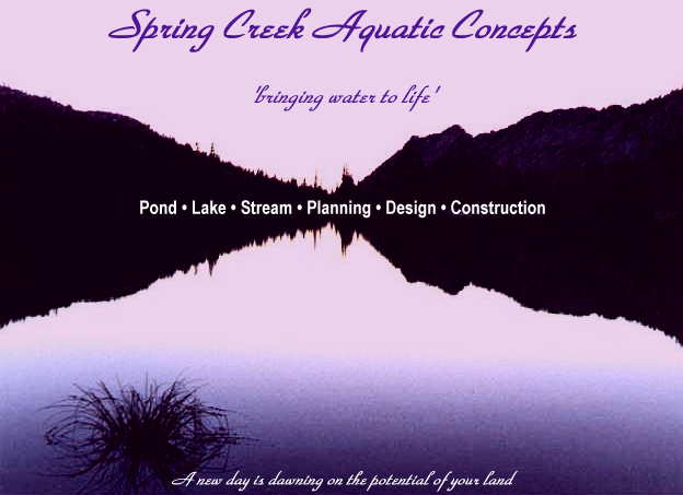 Read our pond design page, then click photo to dive right in